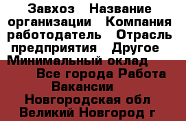 Завхоз › Название организации ­ Компания-работодатель › Отрасль предприятия ­ Другое › Минимальный оклад ­ 26 000 - Все города Работа » Вакансии   . Новгородская обл.,Великий Новгород г.